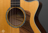 Taylor Acoustic Guitars - 612ce 12-Fret Grand Concert - Rosette