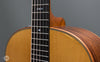 Taylor Acoustic Guitars - 717e Grand Pacific Builder's Edition - Frets