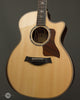 Taylor Acoustic Guitars - 814ce V-Class - Angle