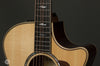 Taylor Acoustic Guitars - 814ce V-Class - Frets