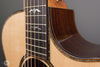 Taylor Acoustic Guitars - 914ce V-Class Bracing - Frets