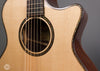 Taylor Acoustic Guitars - 914ce V-Class Bracing- Details