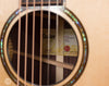 Taylor Acoustic Guitars - 914ce V-Class Bracing- Soundhole