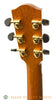 Avalon A200 Acoustic Guitar - tuners