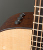 Taylor Acoustic Guitars - American Dream AD17e V-Class - Controls