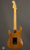 Fender Electric Guitars - American Professional II Stratocaster - RW Roasted Pine - Back