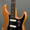 Fender Electric Guitars - American Professional II Stratocaster - RW Roasted Pine - Frets
