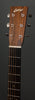 Collings Acoustic Guitars - D2H MR A Traditional T Series - Headstock