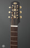 Iris Guitars - DF Smeck - Burst - Ivoroid Binding - Headstock