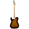 Fender Electric Guitars - Standard Telecaster - Sunburst Back