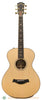 Taylor GCe 12-Fret Custom Ltd. Ed. Walnut Acoustic Guitar - front