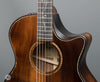 Taylor Acoustic Guitars - K24ce Builder's Edition - Frets