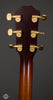 Taylor Acoustic Guitars - K26ce B-Stock - Tuners
