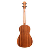 Kala Ukuleles - KA-BG Baritone Uke