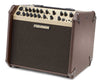 Fishman Loudbox Artist Acoustic Amp - angle and controls