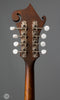 Eastman Mandolins - MD315 with K&K Pickup - Tuners