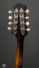 Collings Mandolins - MT GT - Black Top - Tuners