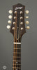 Collings Mandolins - MT GT Sunburst - Headstock