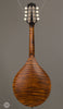 Collings Mandolins - MT GT Sheraton Brown - Back
