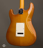 Don Grosh Electric Guitars - NOS Retro - Vintage Maple Burst - Back Angle
