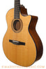 Taylor NS34ce Nylon String Acoustic Guitar - angle