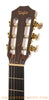 Taylor NS34ce Nylon String Acoustic Guitar - head