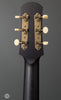 Iris Guitars - OG - Black - Ivoroid Pickguard - Tuners