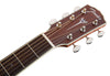 Fender Acoustic Guitars - PM-1 Mahogany Dreadnought - Headstock