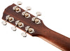 Fender Acoustic Guitars - PM-1 Mahogany Dreadnought - Tuners