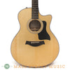 Taylor Acoustic Guitars - 316CE