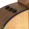 Taylor 356e 12-String Acoustic Guitar - controls