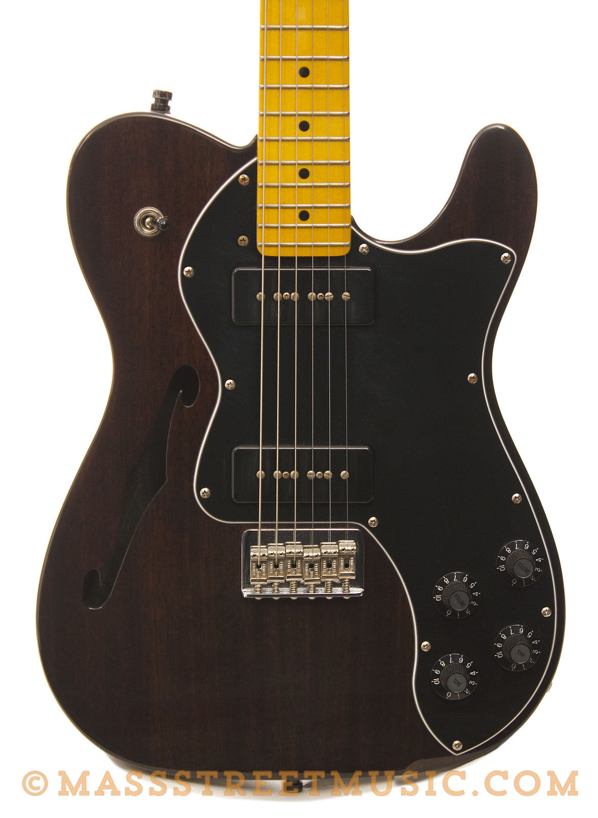 ほとんど出回っていない代物ですModern Player Telecaster Thinline Deluxe