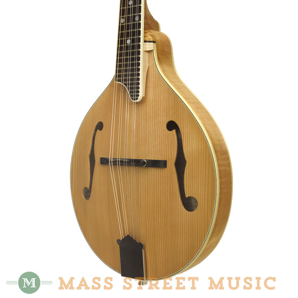 Triggs - Custom A-Style Usd Mandolin with hybrid case | Mass Street Music