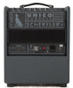 Schertler Unico Classic Acoustic Amp - back