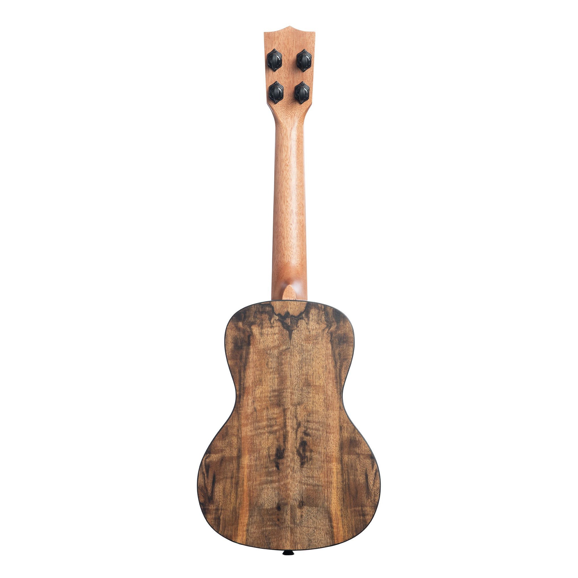 Kala Ukuleles - KA-MG-C Spalted Mango - Concert Uke | Mass Street Music