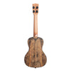 Kala Ukuleles - KA-MG-C Spalted Mango - Concert Uke