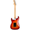 Fender Electric Guitars - Player Stratocaster - HSS Plus Top - Maple Fingerboard - Aged Cherry Burst - Back