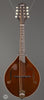 Collings Mandolins - MT GT - Sheraton Brown - Front