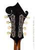Gibson Mandolins - 1926 F2