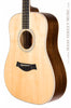 Taylor Acoustic Guitars - DN3