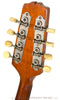 Gibson 1924 A1 Snakehead Mandolin - head back