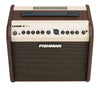 Fishman Loudbox Mini Acoustic Amp - controls 1