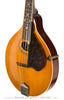 Gibson Mandolins - 1917 A1