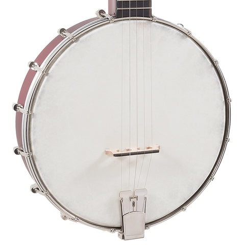 Recording King - RKOH-05 Open Back Banjo