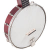 Recording King - RKOH-05 Open Back Banjo - Angle